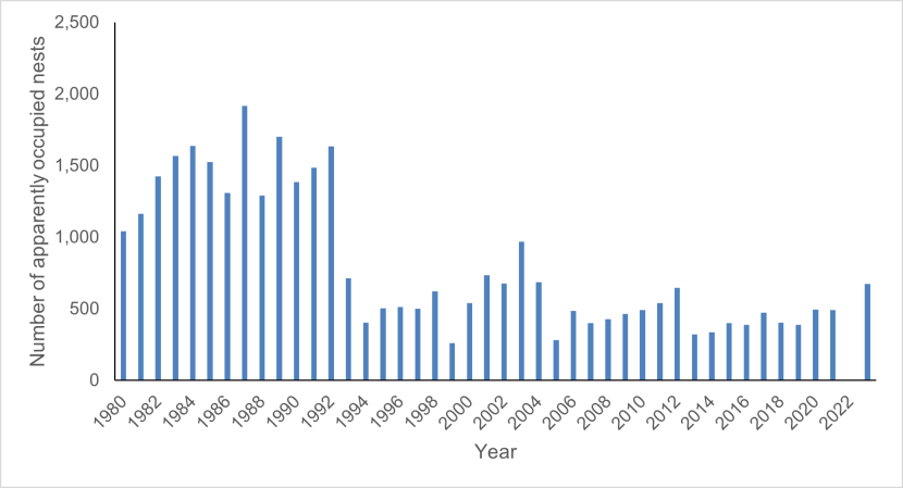 Bar graph showing the breeding population of European shag on the Isle of May, 1980-2023