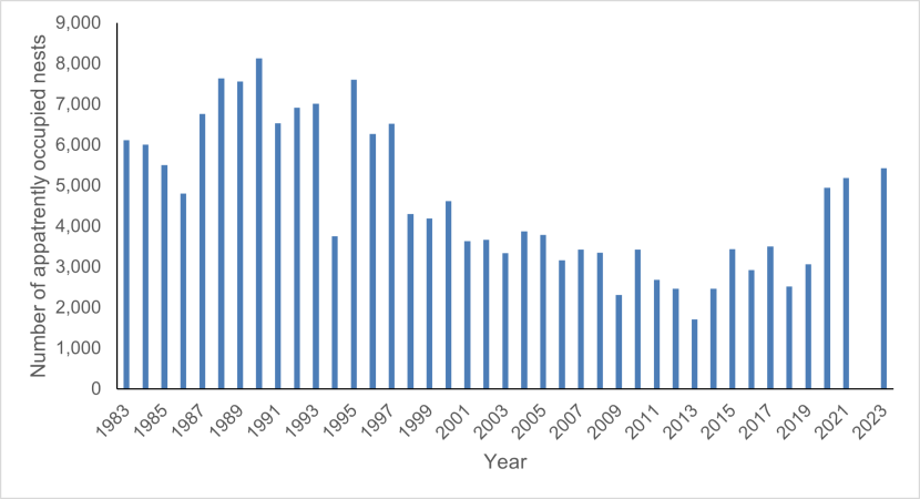 Bar graph showing the breeding population of kittiwake on the Isle of May, 1983-2023