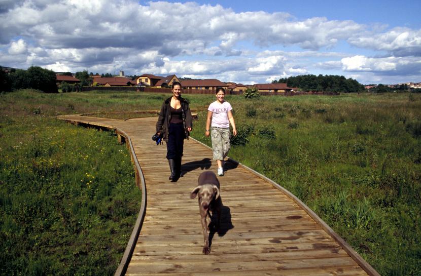 Two adults and a dog walking on a boardwalk across Dumbreck marshes with housing in the background.