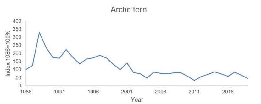 The data for the graph on Arctic tern - breeding numbers is provided in table 3