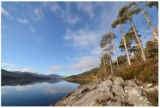 view from edge of Glen Affric loch including trees, a steep rocky edge and water