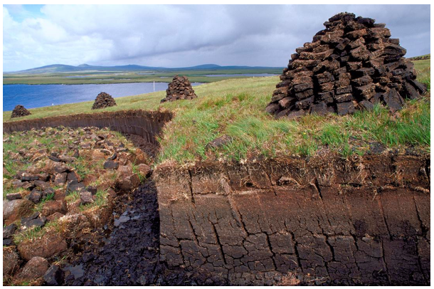 Peat cutting with stacked mounds of peat dotted along it 