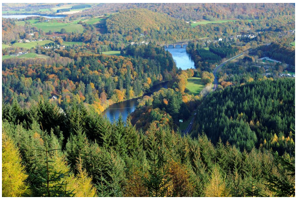 River Tay and A9 winding through woodland and forestry at Dunkeld