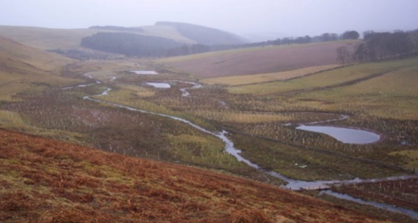 Gala catchment habitat restoration project showing various water bodies and woodland planting sites 