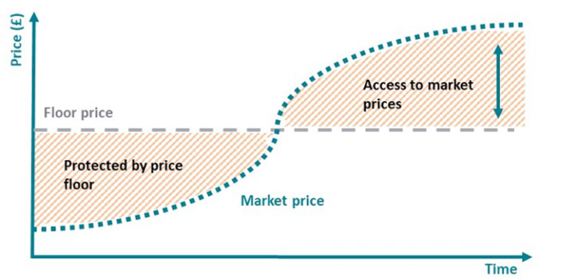 Diagram illustrating that market participants are protected from market prices when these fall below a price floor 