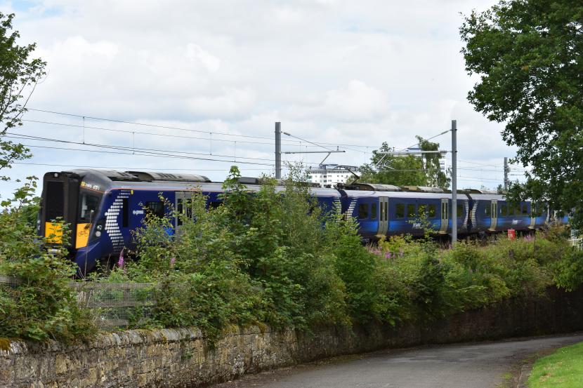 A railway line near Falkirk with a range of hedges