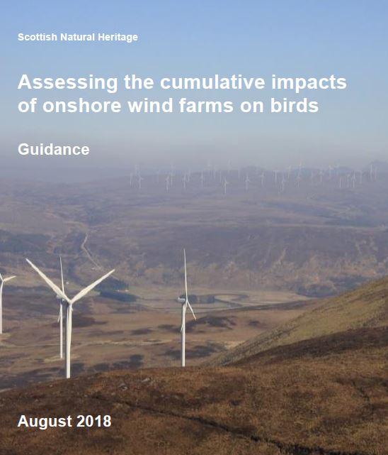 Guidance - Assessing the cumulative impacts of onshore wind farms on birds guidance front cover