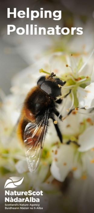 Helping pollinators leaflet front page