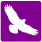 Buzzard - Purple - icon