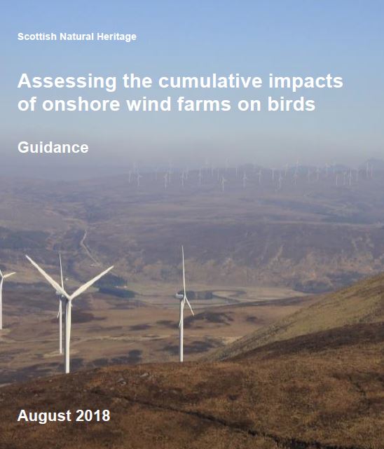 Guidance - Assessing the cumulative impacts of onshore wind farms on birds guidance front cover