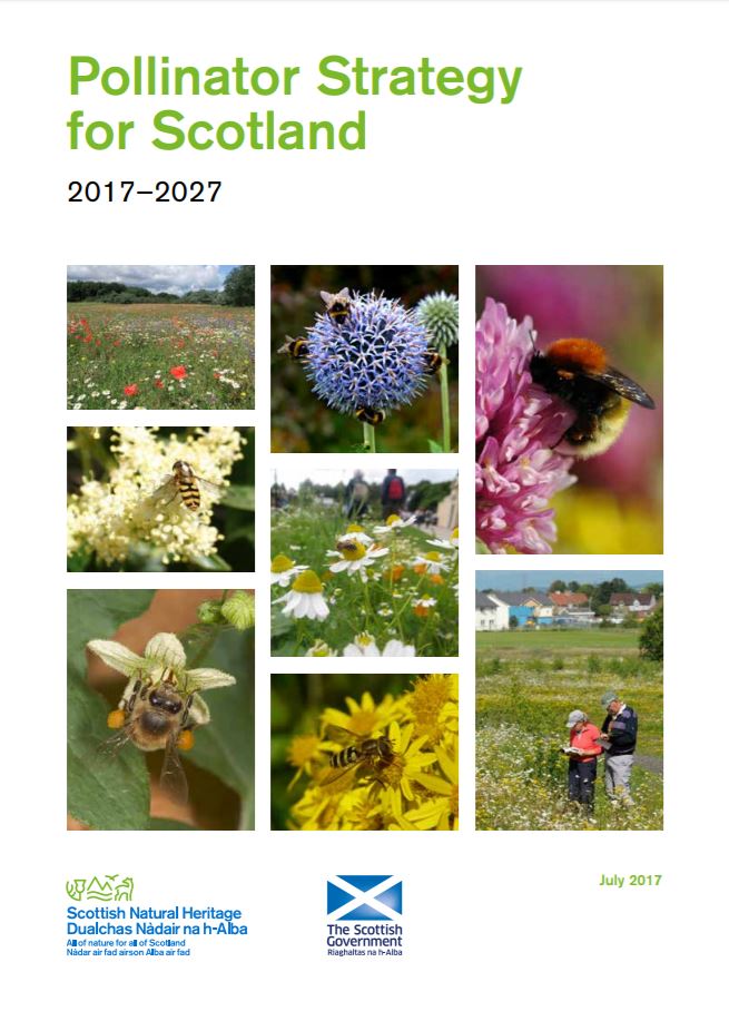 Pollinator strategy front cover