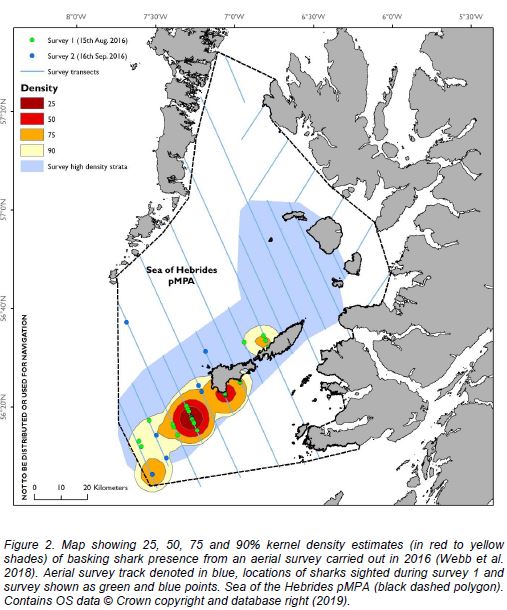 Basking sharks - Map identifying zones where basking sharks occur more frequently within a possible MPA to aid management discussions