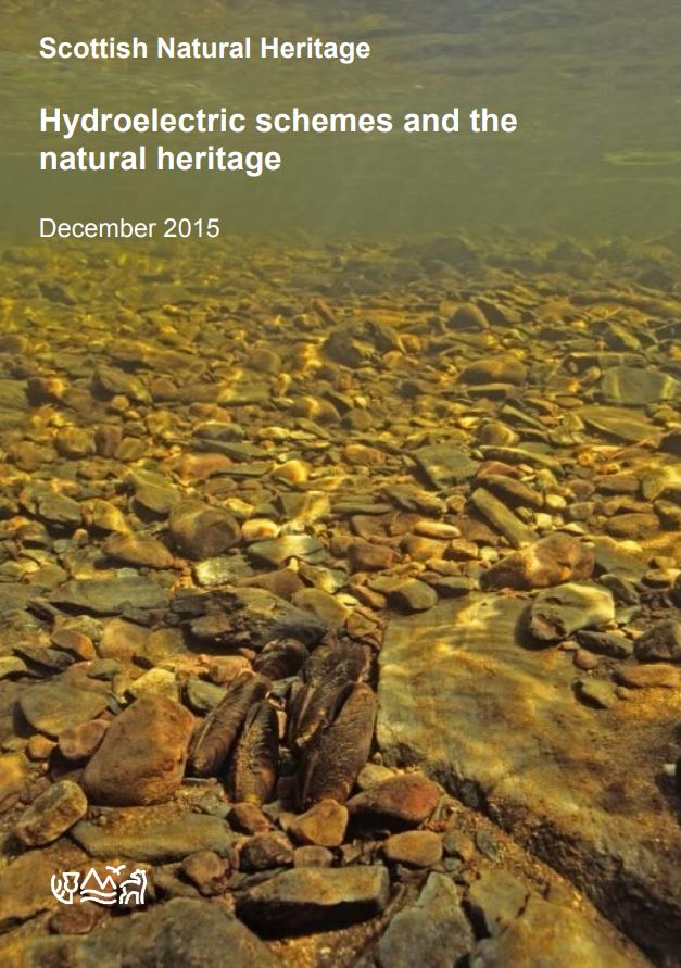 Hydroelectric schemes and the natural heritage front cover