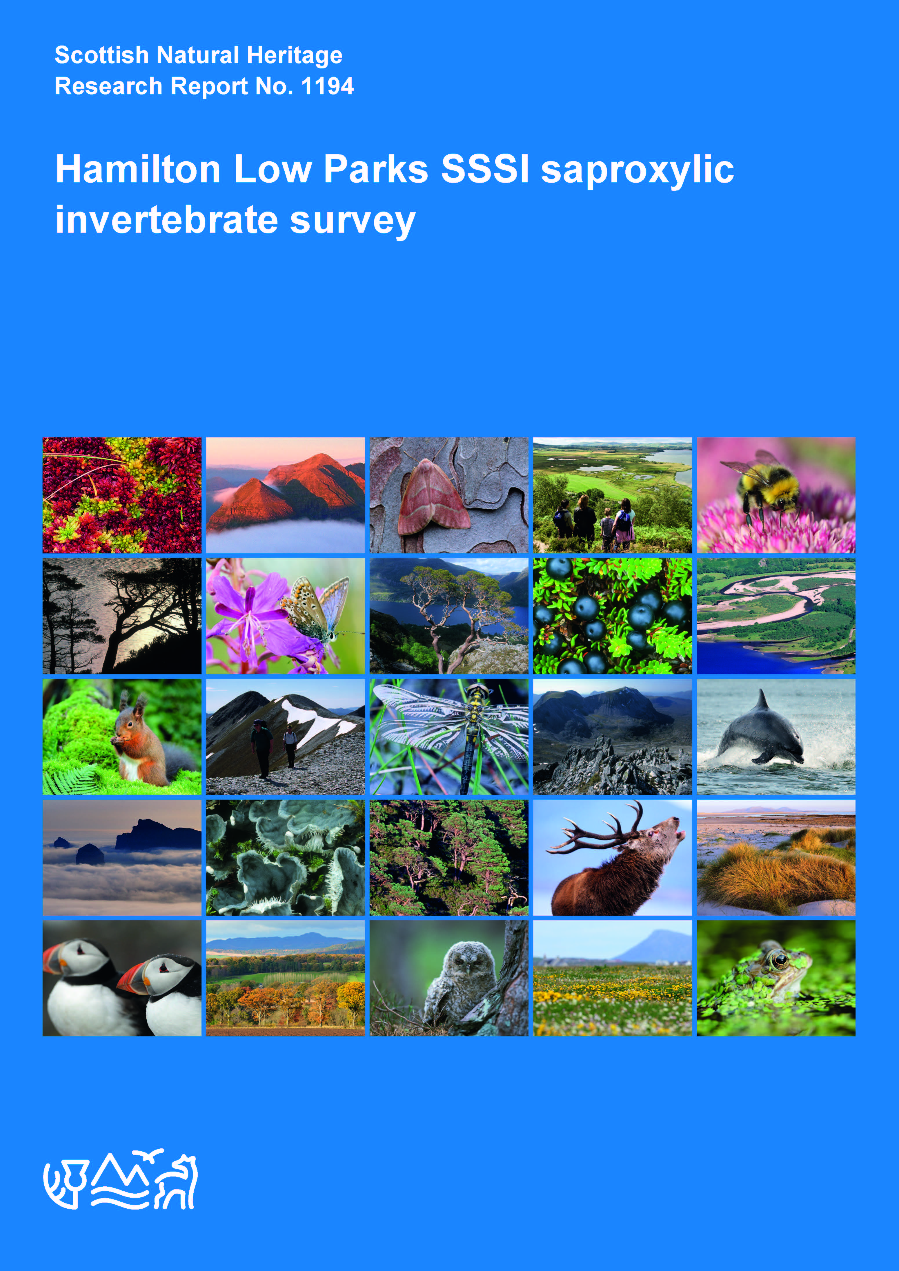Front cover of SNH Research Report 1194 - Hamilton Low Parks SSSI - saproxylic invertebrate survey