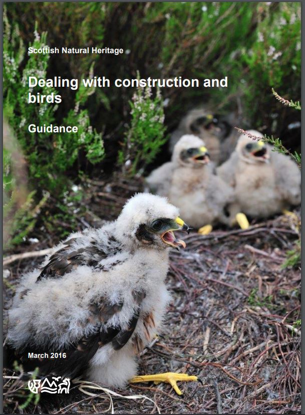 Dealing with construction and birds - front cover