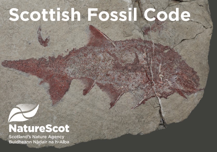 Scottish Fossil Code Postcard