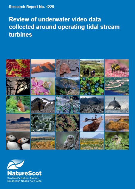 NatureScot Research Report 1225 - Review of underwater video data collected around operating tidal turbines