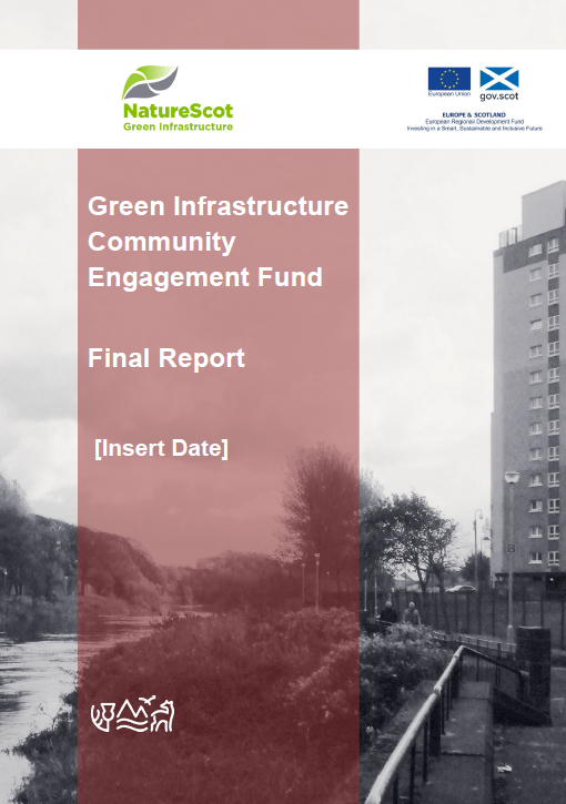 Image of Final Report front cover