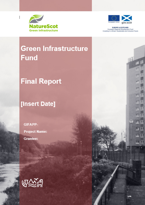 Image of GIF Final Report front cover