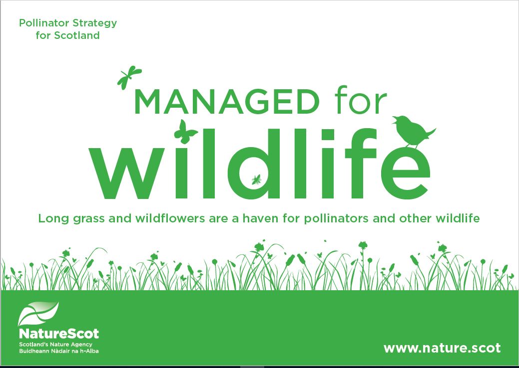 Pollinators - Managed for Wildlife sign