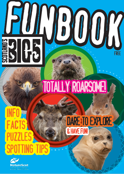 Big 5 Funbook - Front cover