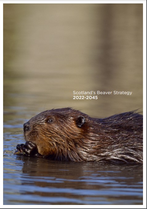 Scotland's Beaver Strategy 2022-2045 front cover