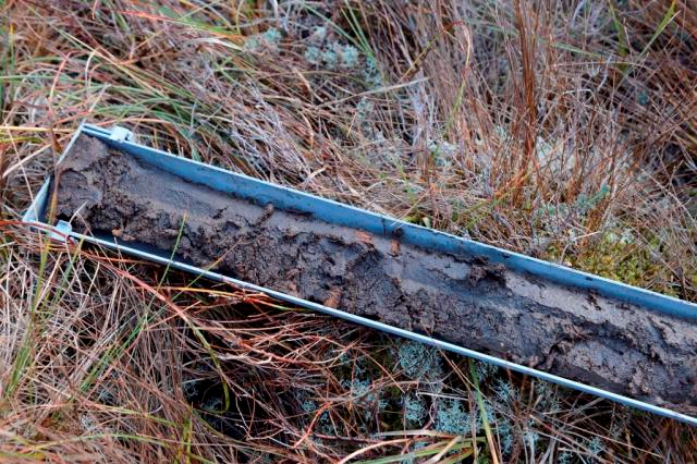 Peat core taken from an upland blanket bog
