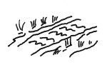illustration of a flat boggy path