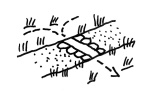 illustration of a turf edged path