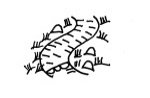 illustration of turfed path edges