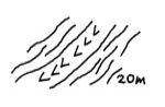 illustration of a path with many braids