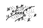 illustration of spot turfing