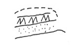 illustration of an eroded slope above path