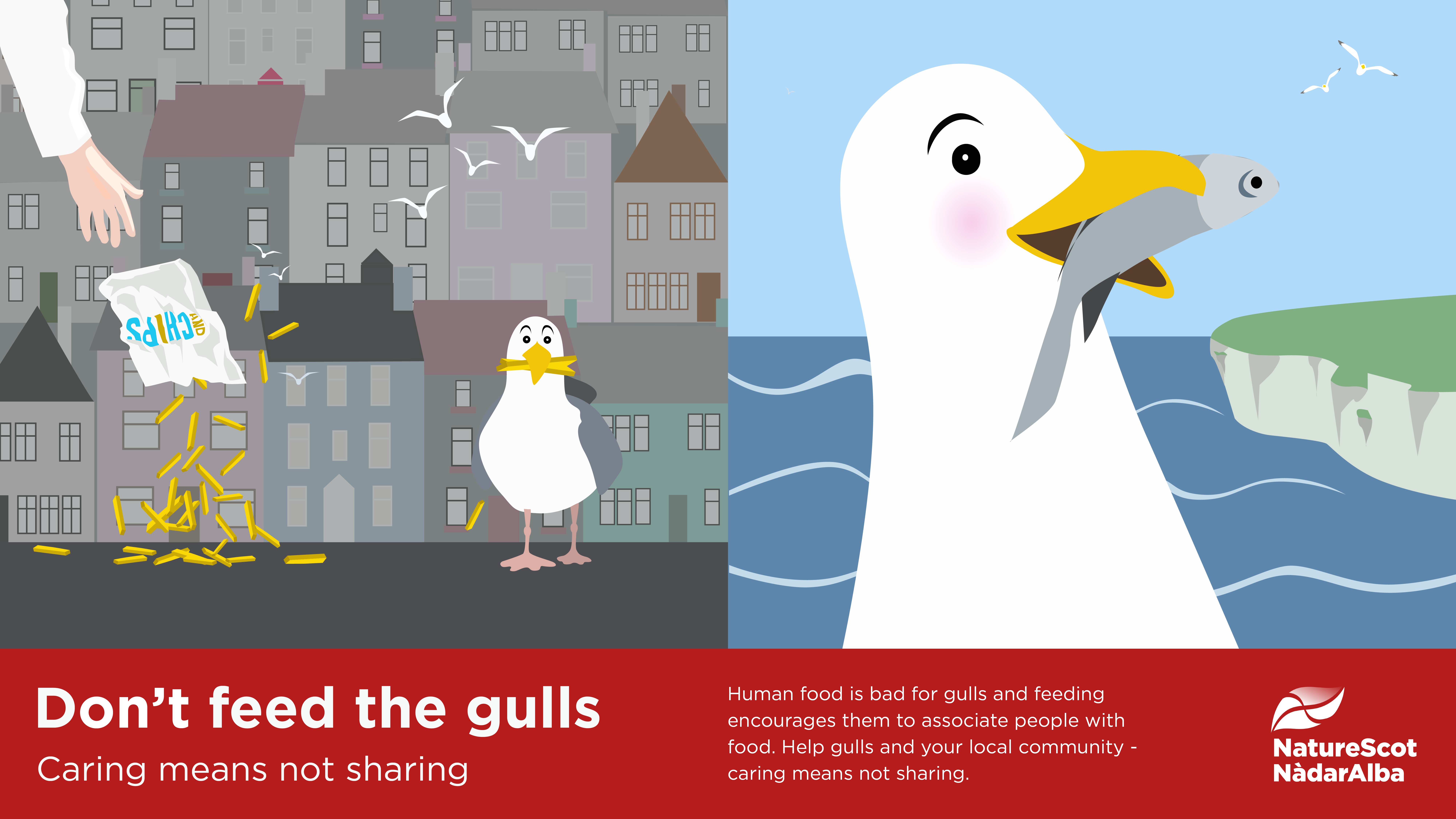 Don't feed the gulls jpg.