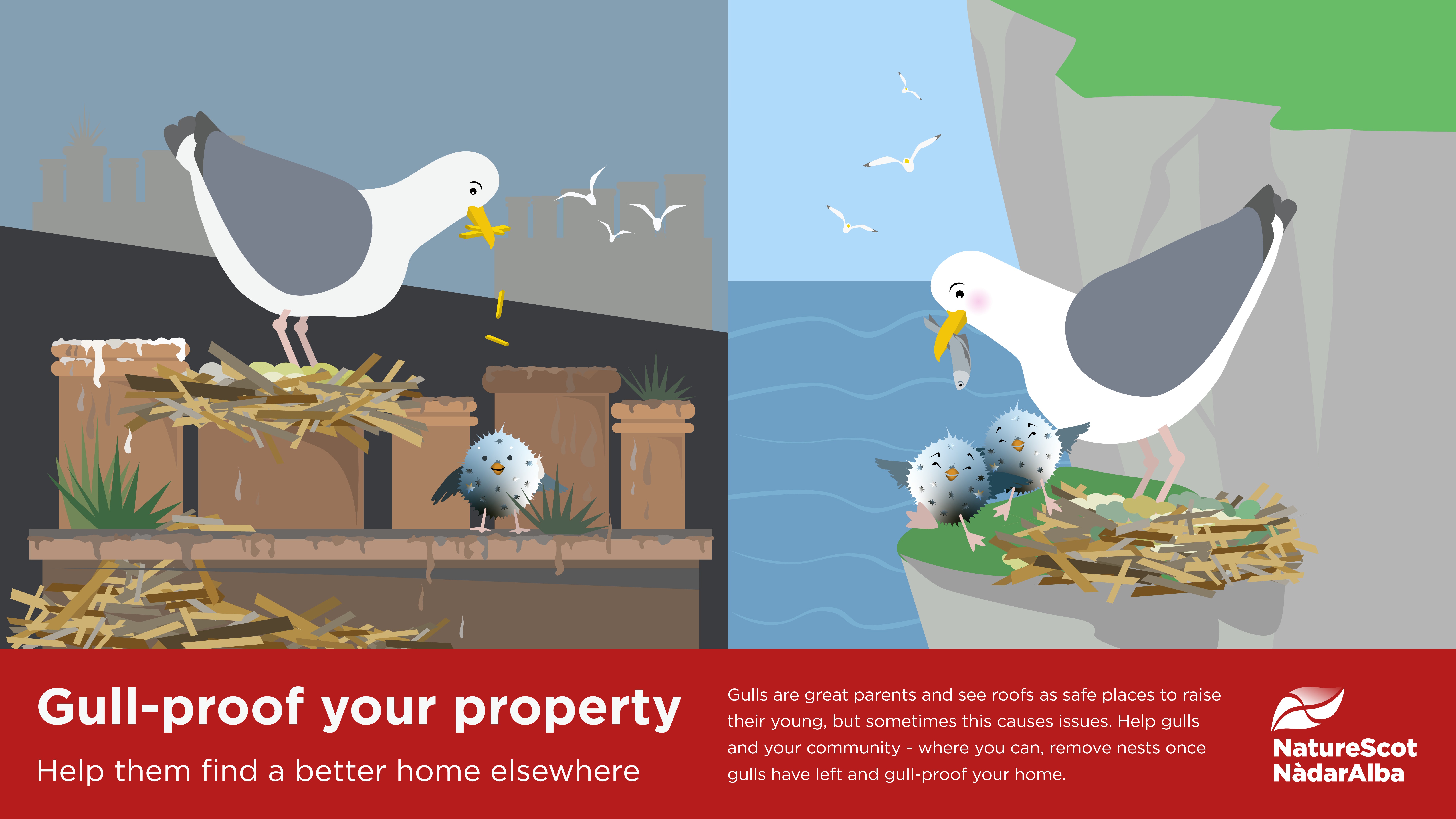 Gull-proof your property jpg.