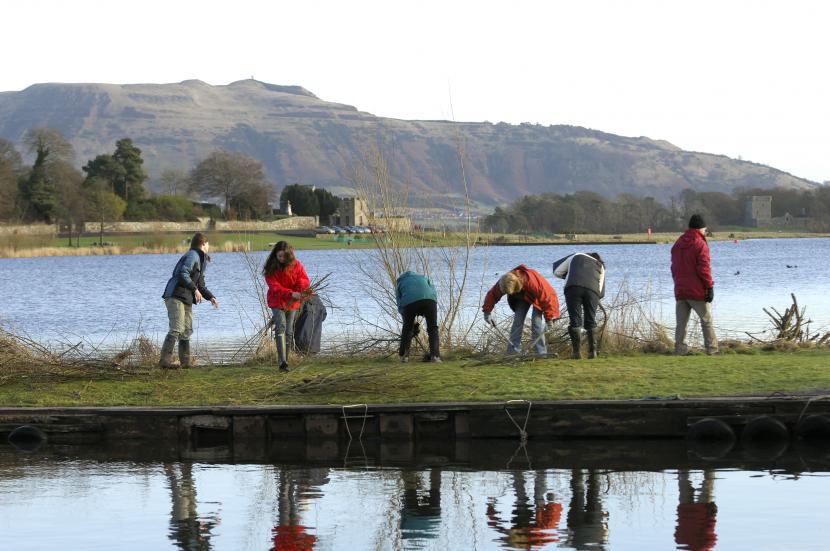 6 volunteers clearing willow scrub at loch, with trees and hills in the background.