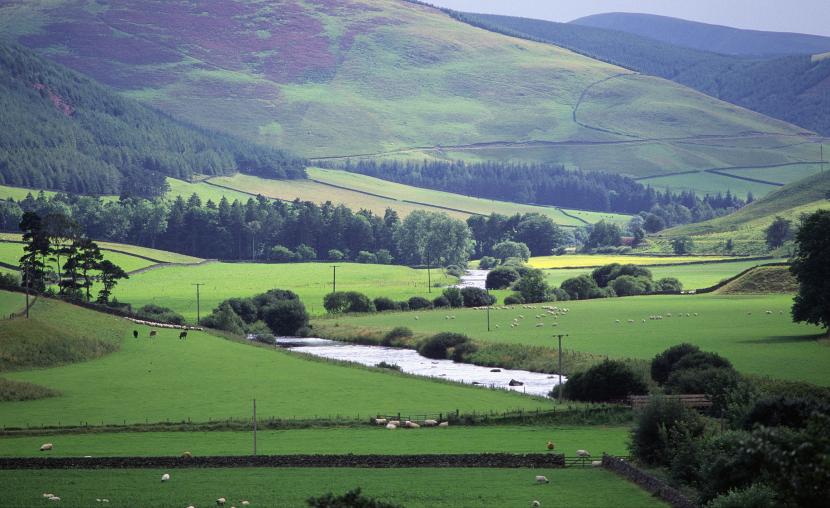 Livestock farming in Tweeddale, Near Tweedsmuir ©Glyn Satterley/SNH. For information on reproduction rights contact the Scottish Natural Heritage Image Library on Tel. 01738 444177 or www.nature.scot