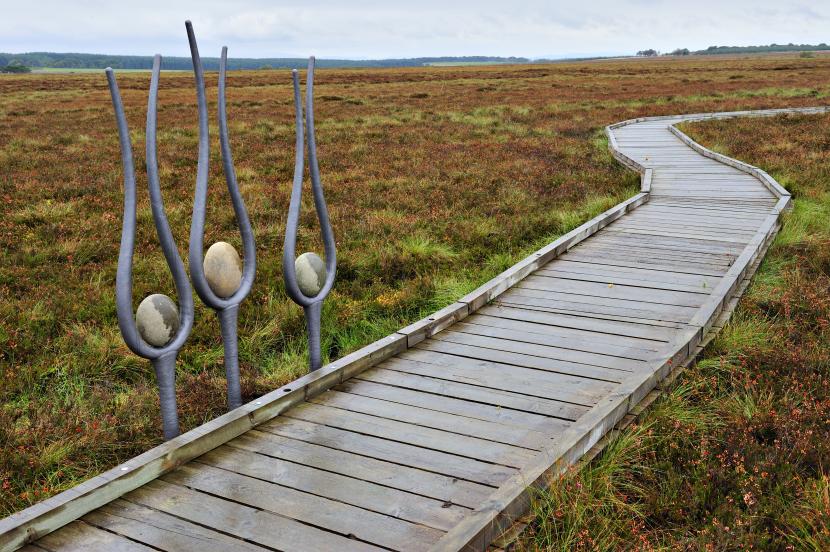 Sculptures and raised walkway at Blawhorn Moss NNR. ©Lorne Gill/SNH.  For information on reproduction rights contact the Scottish Natural Heritage Image Library on Tel. 01738 444177 or www.nature.scot