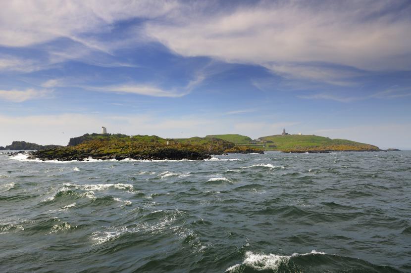 The Isle of May National Nature Reserve. ©Lorne Gill/SNH. 