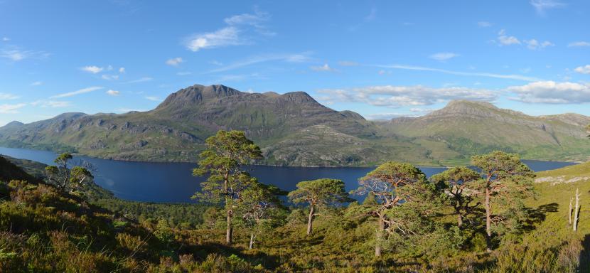 Scots pine woodland above Loch Maree with Slioch beyond, Beinn Eighe National Nature Reserve. ©Lorne Gill/SNH. For information on reproduction rights contact the Scottish Natural Heritage Image Library on Tel. 01738 444177 or www.nature.scot