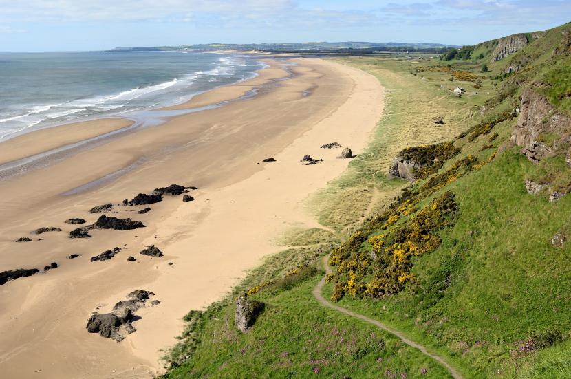 St Cyrus NNR. 