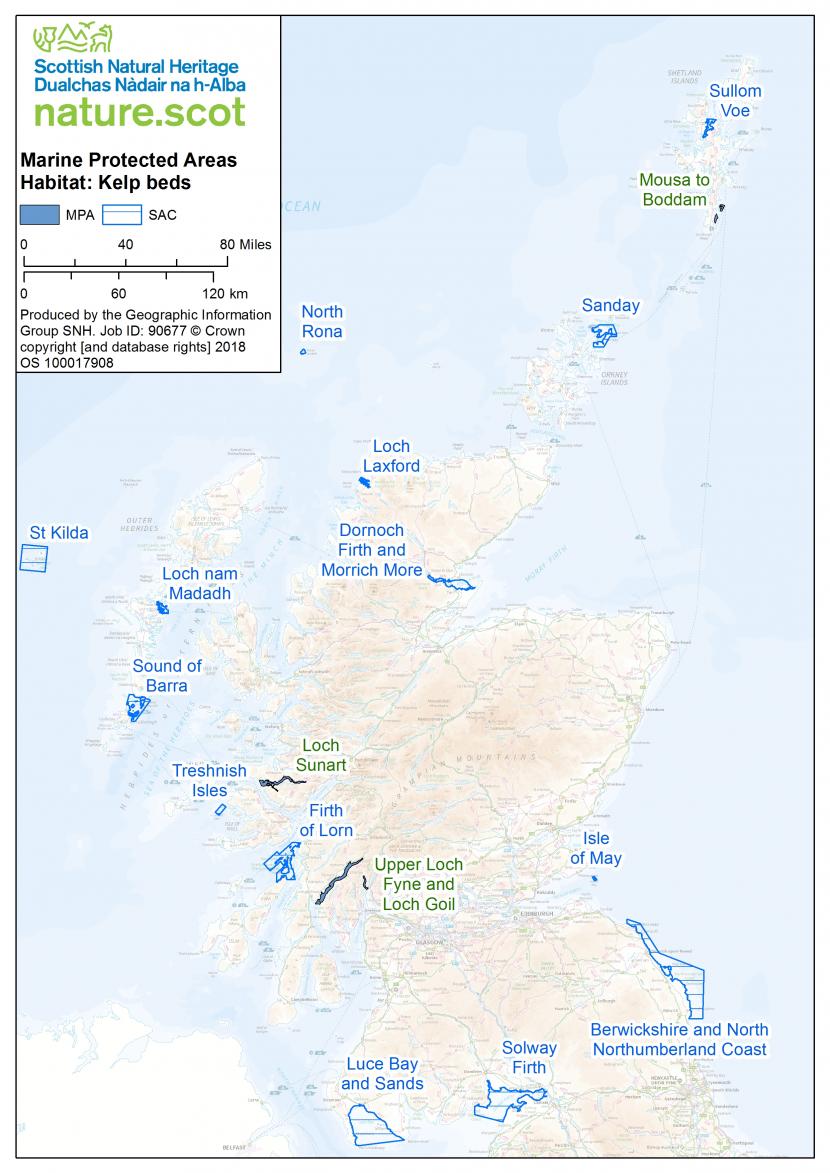 Map of kelp beds in the UK