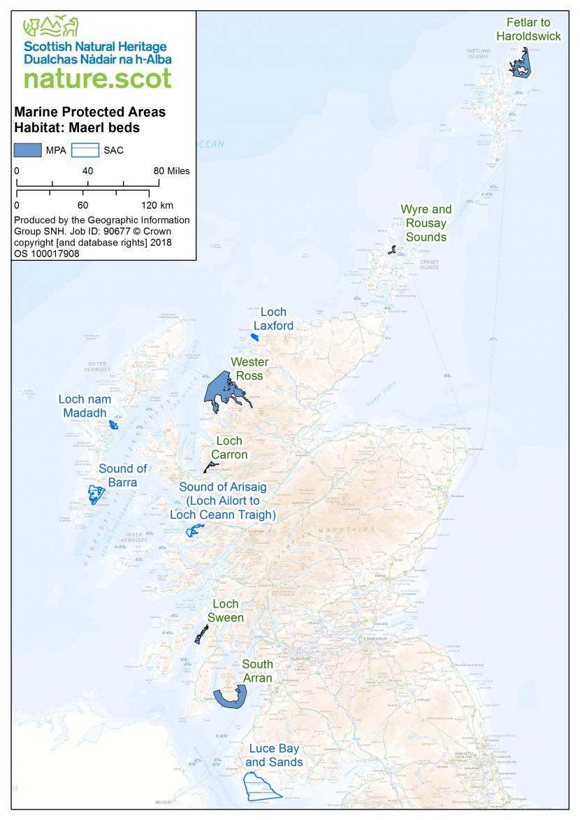 Map of maerl beds in the UK