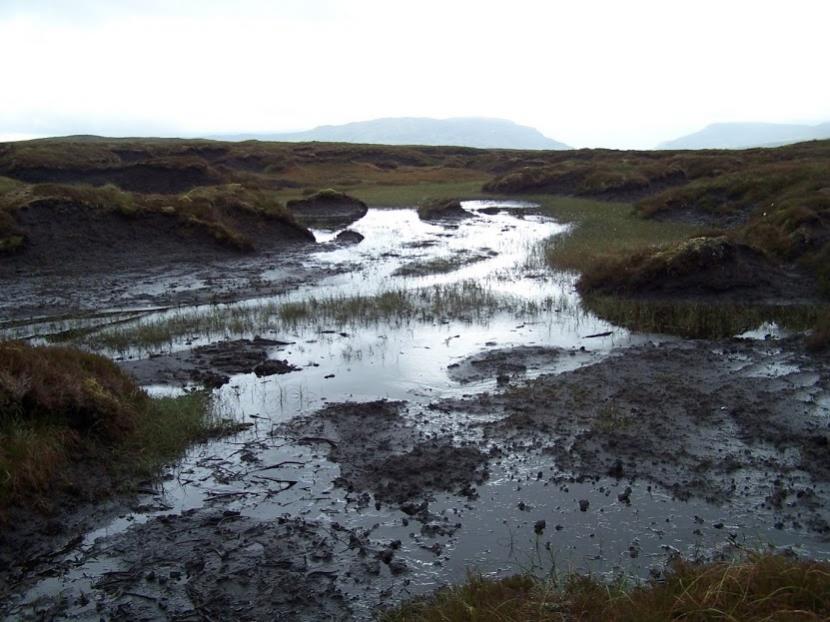 Peatland Action - Bare peat and eroding gully.