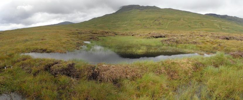 Peatland ACTION - Mini peat hags summer after restoration activities at Innishewan Ford.