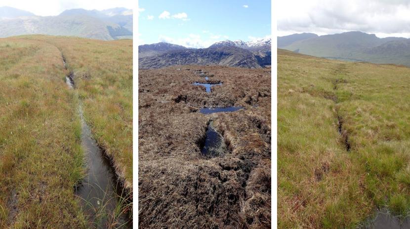 Peatland ACTION - Grips before, during and summer after restoration activity - Innishewan Ford, Loch Lomond & The Trossachs National Park Authority. ©RJCooperLoch Lomond & The Trossachs National Park Authority  Peatland ACTION