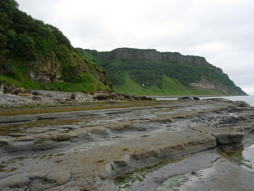 Fossil remains of marine animals on the coast south of Bearreraig Bay, Skye.