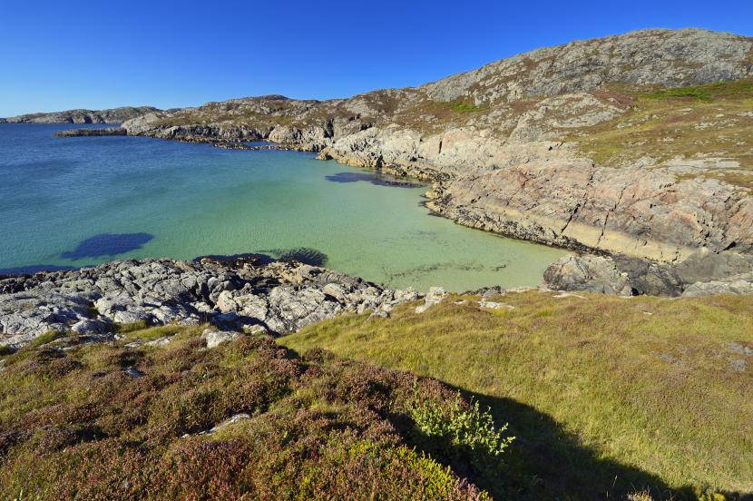 Turquoise sea, rocky hills and heather landscape