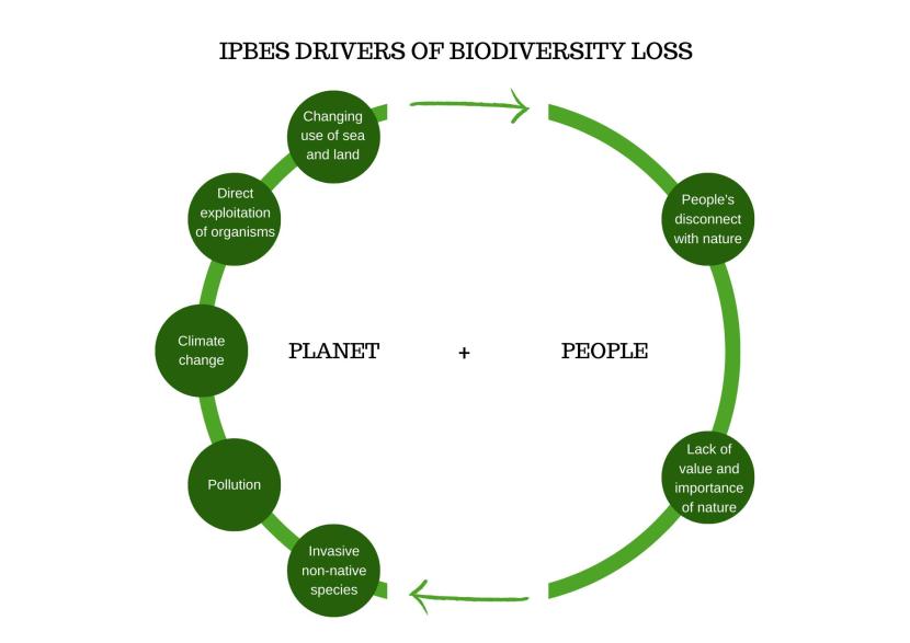 IPBES drivers people & planet infographic