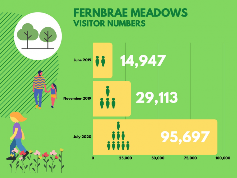 Fernbrae Meadows visitor numbers